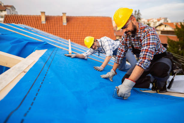 Best Roof Gutter Cleaning  in Teaticket, MA